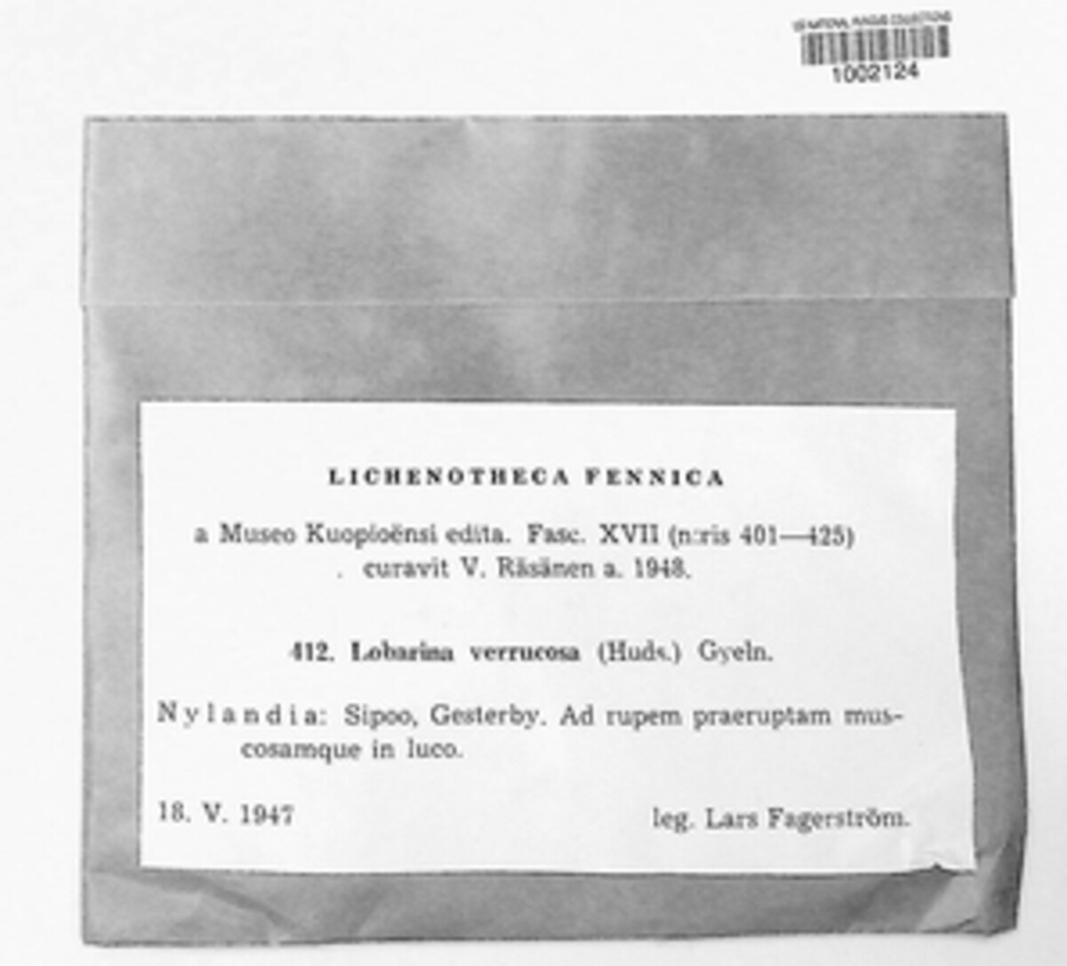 Lobarina image